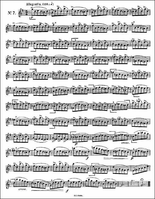 15首如歌的练习曲之6—10-长笛五线谱|长笛谱