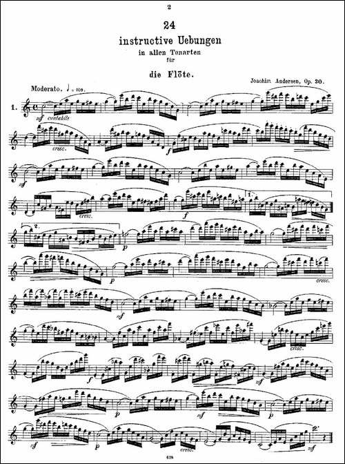24-instructive-Uebungen.Op.30-1—12-长笛五线谱|长笛谱