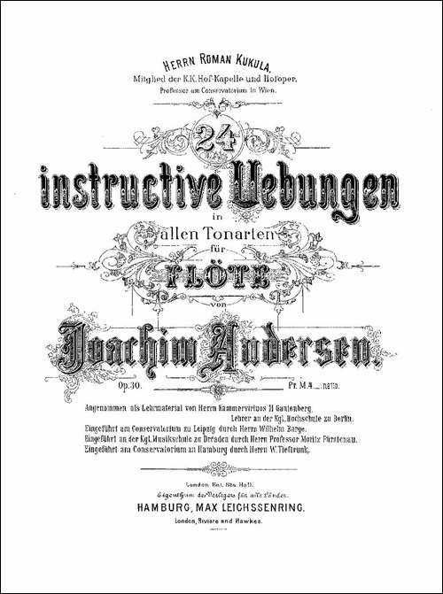 24-instructive-Uebungen.Op.30-13—24-长笛五线谱|长笛谱