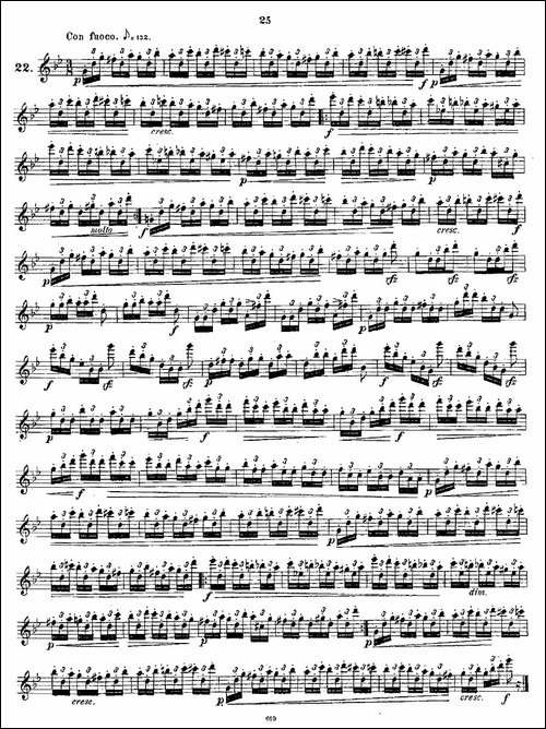 24-instructive-Uebungen.Op.30-13—24-长笛五线谱|长笛谱
