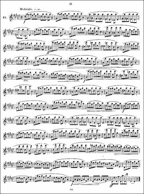 24-instructive-Uebungen.Op.30-13—24-长笛五线谱|长笛谱