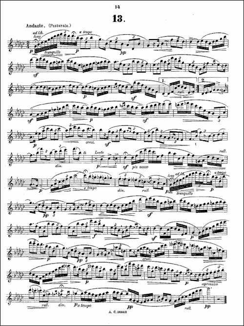24首长笛练习曲-Op.21-之13—24-长笛五线谱|长笛谱