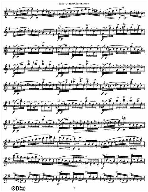Bach-24-Flutc-Concert-Studies-之1—5-巴赫-长笛五线谱|长笛谱