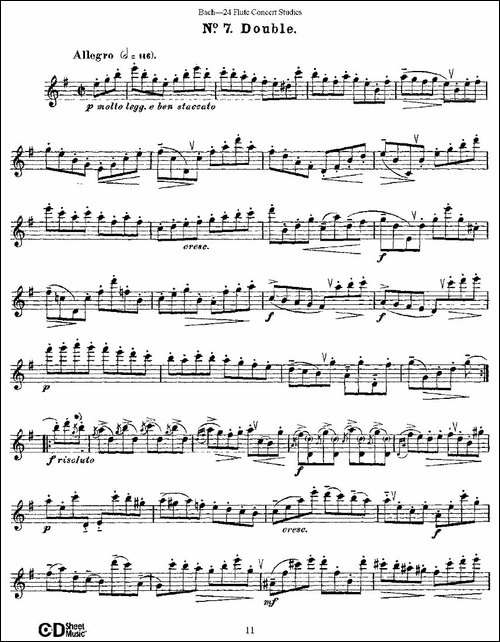 Bach-24-Flutc-Concert-Studies-之6—10-巴赫-长笛五线谱|长笛谱
