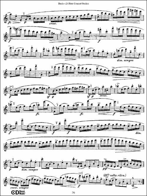Bach-24-Flutc-Concert-Studies-之16—19-巴-长笛五线谱|长笛谱