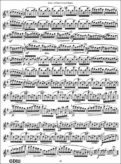 Bach-24-Flutc-Concert-Studies-之20—24-巴-长笛五线谱|长笛谱 - 图2 Bach-24-Flutc-Concert-Studies-之20—24-巴-长笛五线谱|长笛谱