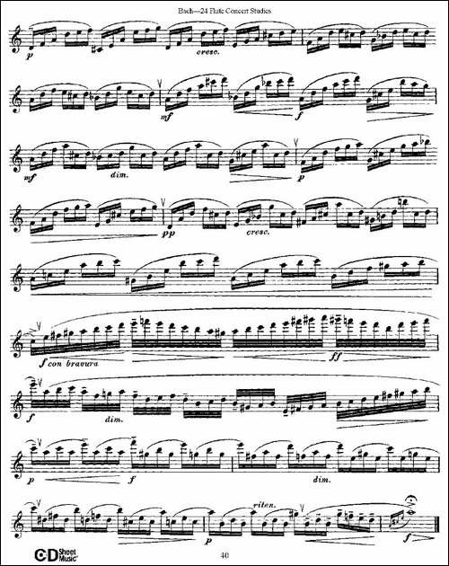 Bach-24-Flutc-Concert-Studies-之20—24-巴-长笛五线谱|长笛谱 - 图4 Bach-24-Flutc-Concert-Studies-之20—24-巴-长笛五线谱|长笛谱