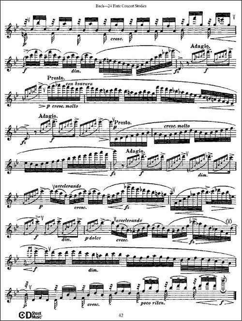 Bach-24-Flutc-Concert-Studies-之20—24-巴-长笛五线谱|长笛谱 - 图6 Bach-24-Flutc-Concert-Studies-之20—24-巴-长笛五线谱|长笛谱