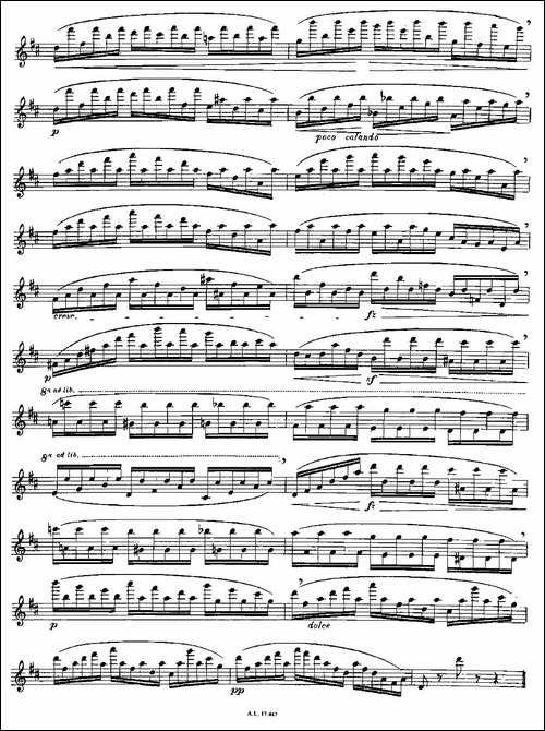 Moyse-25-Studies-after-Czerny-flute-之16-2-长笛五线谱|长笛谱 - 图2 Moyse-25-Studies-after-Czerny-flute-之16-2-长笛五线谱|长笛谱