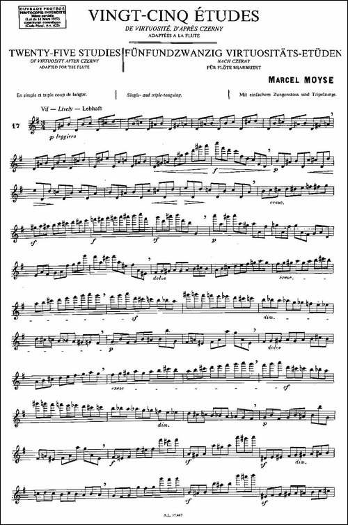 Moyse-25-Studies-after-Czerny-flute-之17-2-长笛五线谱|长笛谱
