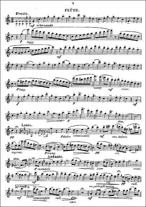 Fantaisies-nationales.-Op.-59,-2.--长笛五线谱|长笛谱
