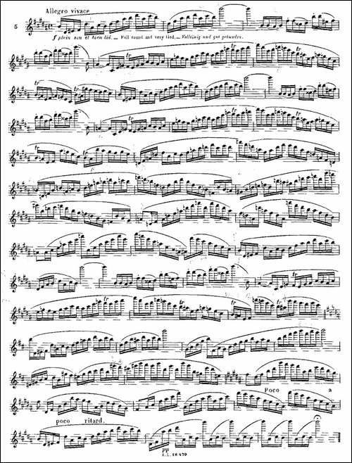 基于维尼亚夫斯基练习曲的10首长笛练习曲之5-Mo-长笛五线谱|长笛谱