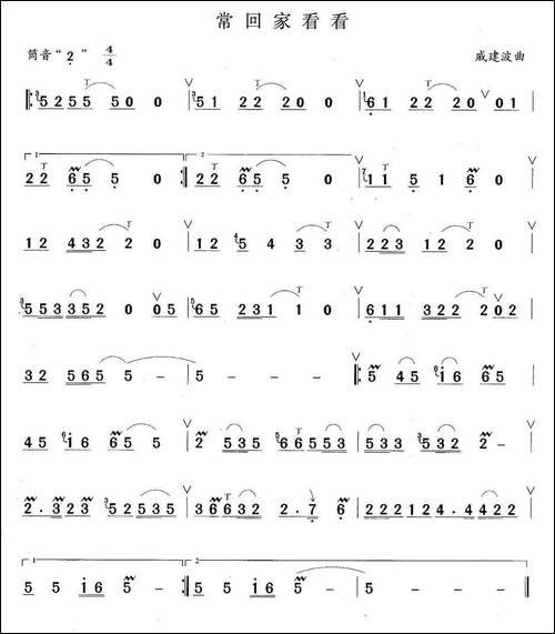 常回家看看-笛箫间谱|笛箫谱