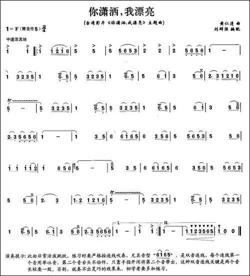 你潇洒，我漂亮-笛箫间谱|笛箫谱