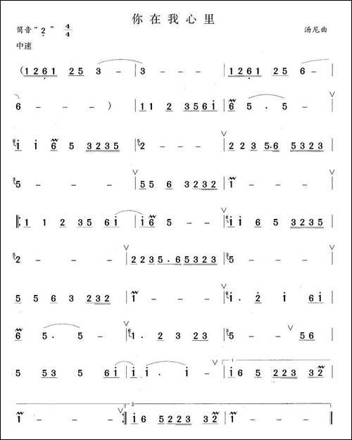 你在我心里-笛箫间谱|笛箫谱