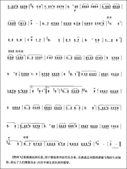 鹧鸪飞-箫谱-笛箫间谱|笛箫谱