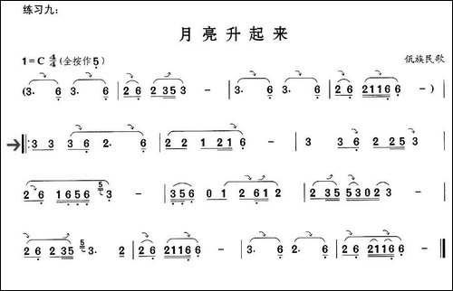 葫芦丝技巧练习之七：滑音练习-葫芦丝谱