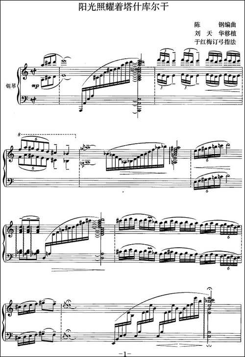 阳光照耀着塔什库尔干-二胡+钢琴伴奏-胡琴