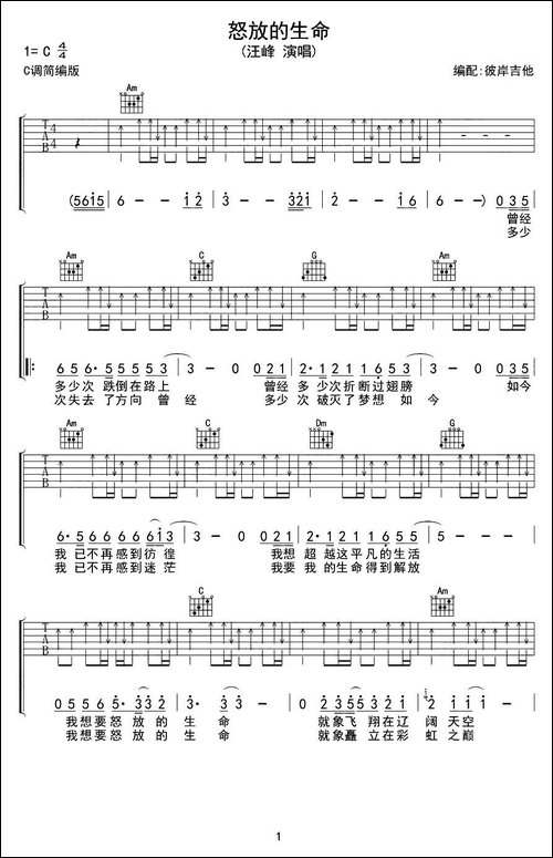 怒放的生命-吉他谱