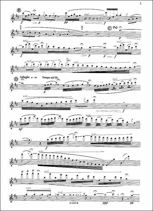 须川展也的《Fuzzy-Bird-Sonata》-Sing,-Bird毛绒鸟奏鸣曲之-吉他谱